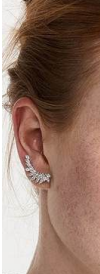 Sparkle Ear Climber Earrings